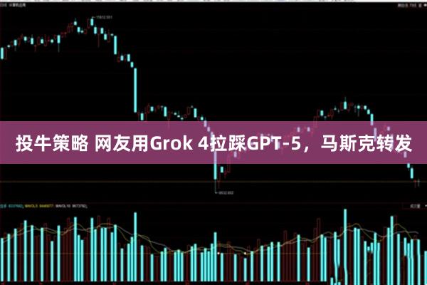 投牛策略 网友用Grok 4拉踩GPT-5，马斯克转发