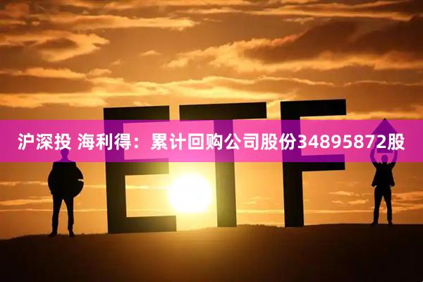 沪深投 海利得：累计回购公司股份34895872股