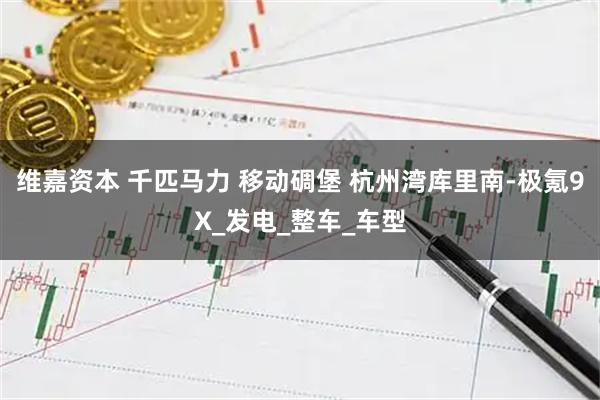 维嘉资本 千匹马力 移动碉堡 杭州湾库里南-极氪9X_发电_整车_车型