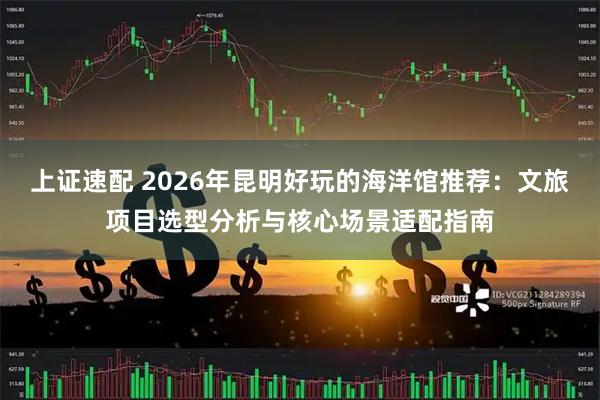 上证速配 2026年昆明好玩的海洋馆推荐：文旅项目选型分析与核心场景适配指南