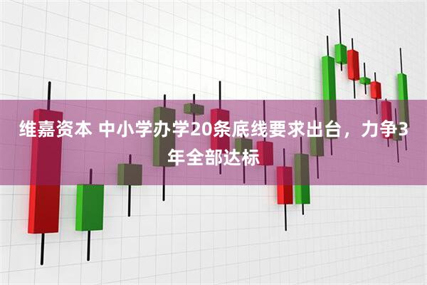 维嘉资本 中小学办学20条底线要求出台,力争3年全部达标