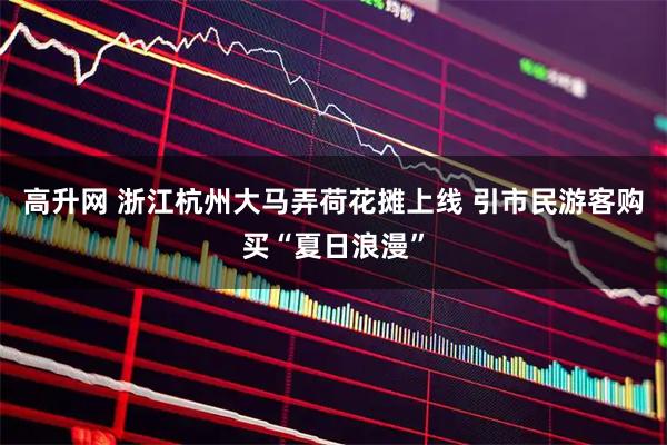 高升网 浙江杭州大马弄荷花摊上线 引市民游客购买“夏日浪漫”